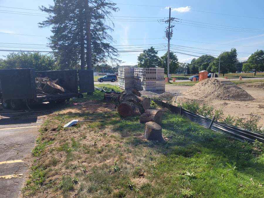 A bucket truck reaches into a tall tree beside a grassy property.